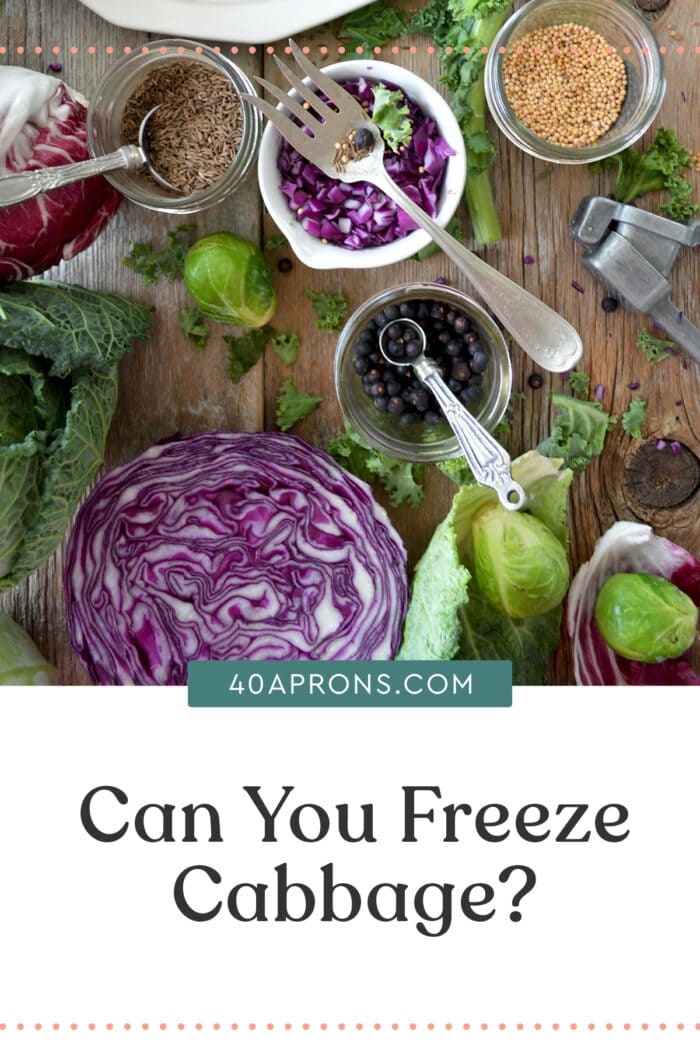 Pin graphic for can you freeze cabbage article