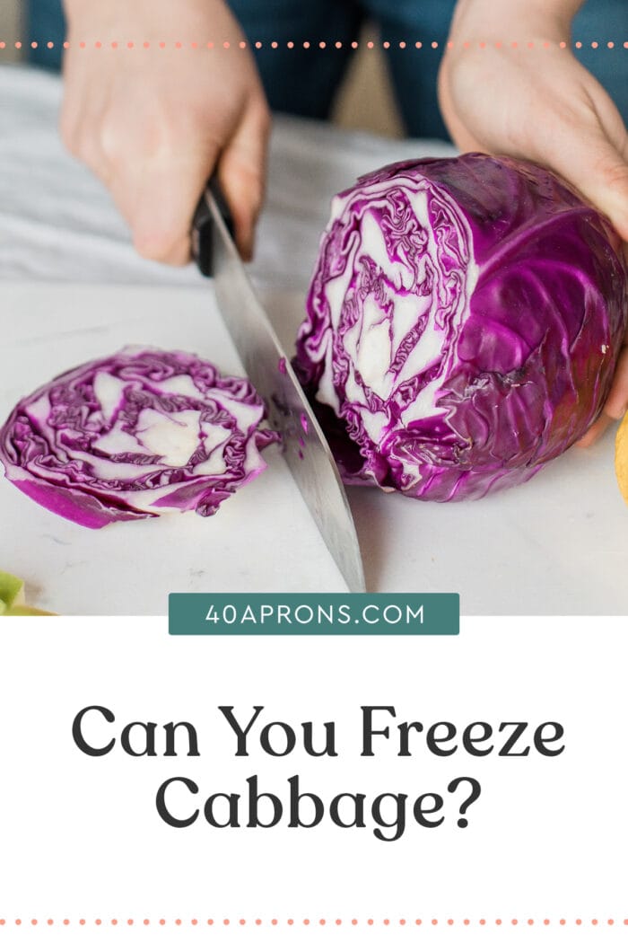 Pin graphic for can you freeze cabbage article