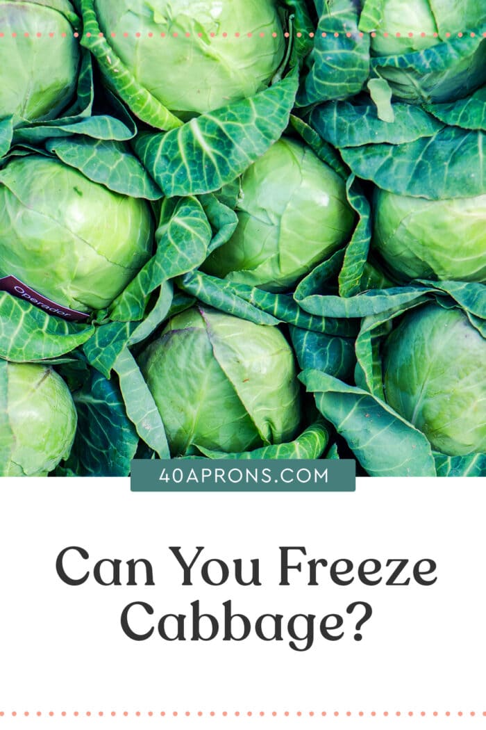 Pin graphic for can you freeze cabbage article