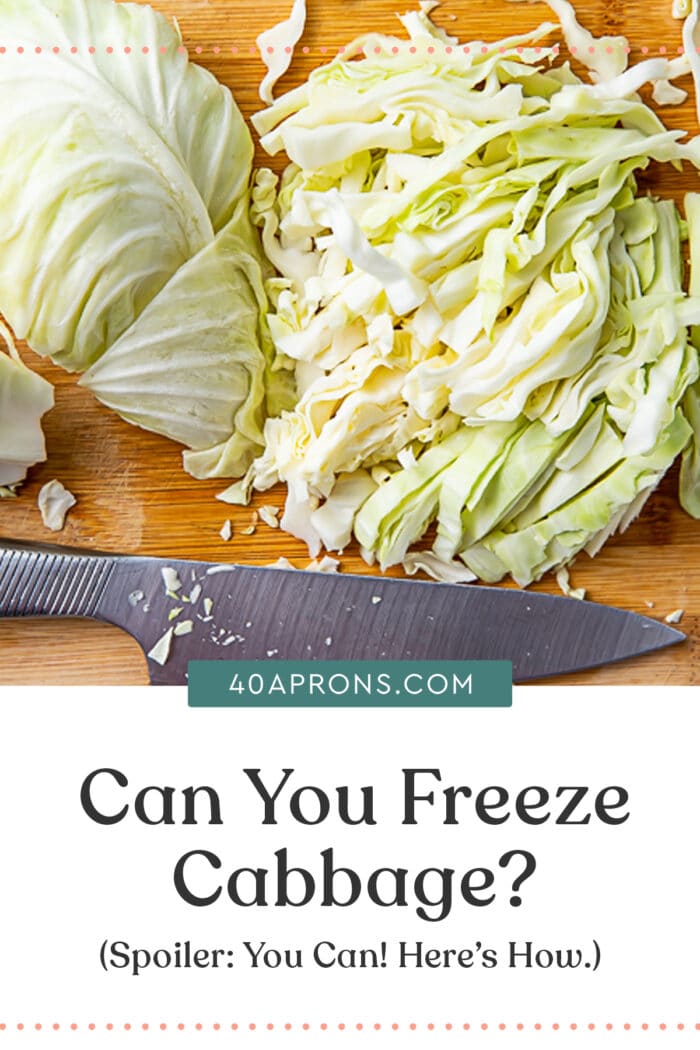 Pin graphic for can you freeze cabbage article