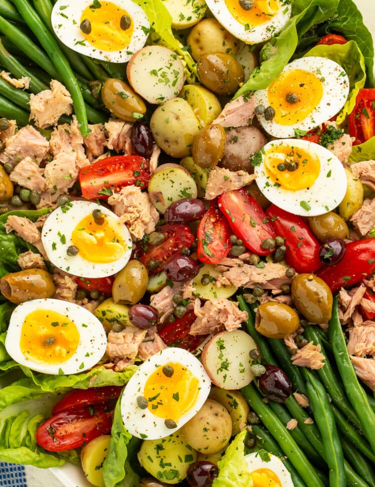 A close-up of Nicoise salad with potatoes, green beans, eggs, lettuce, olives, capers, tomatoes, and tuna.
